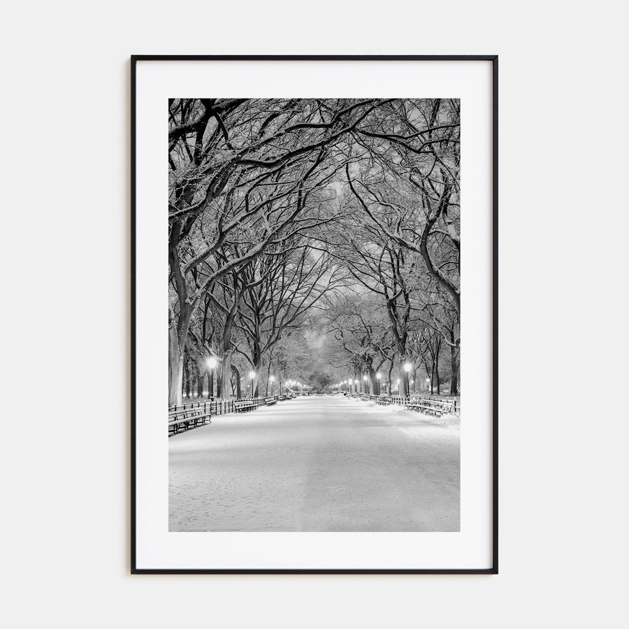Central Park Photo B&W No 3 Poster