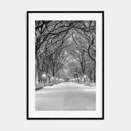 Central Park Photo B&W No 3 Poster