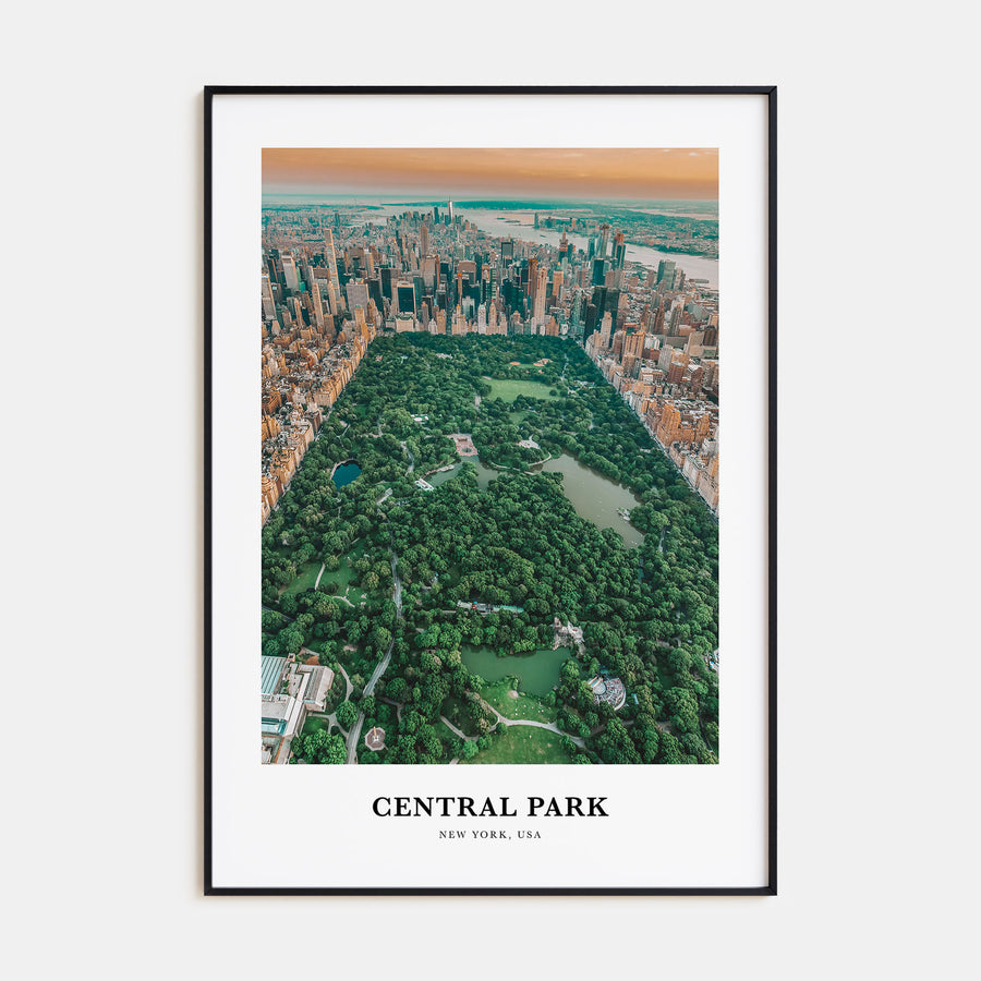 Central Park Portrait Color Poster