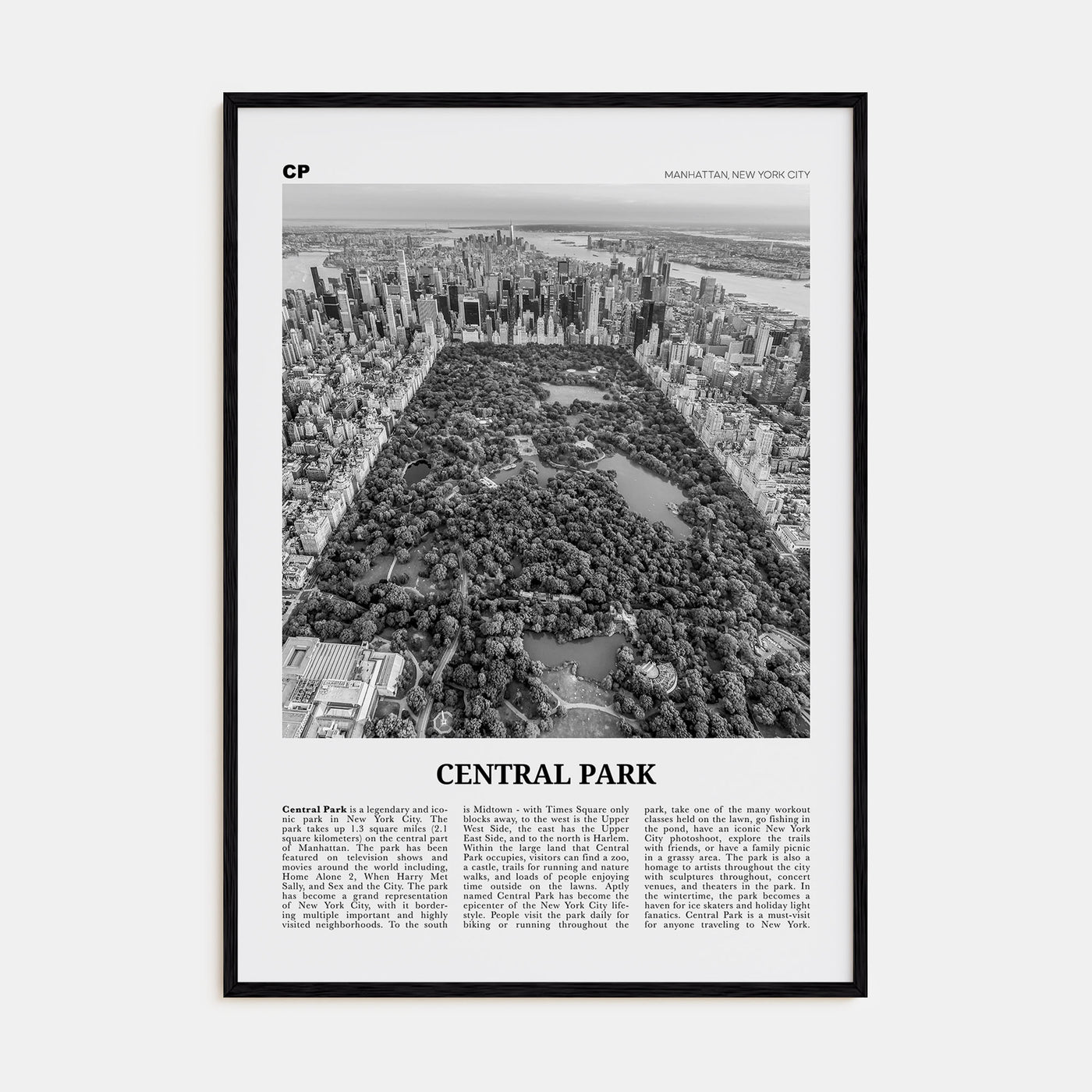 Central Park Travel B&W Poster