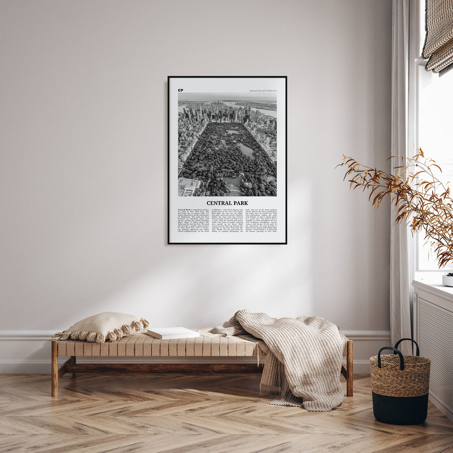 Central Park Travel B&W Poster