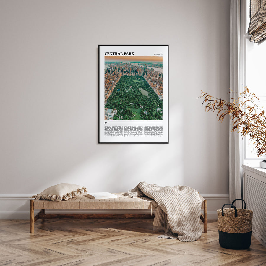 Central Park Travel Color Poster