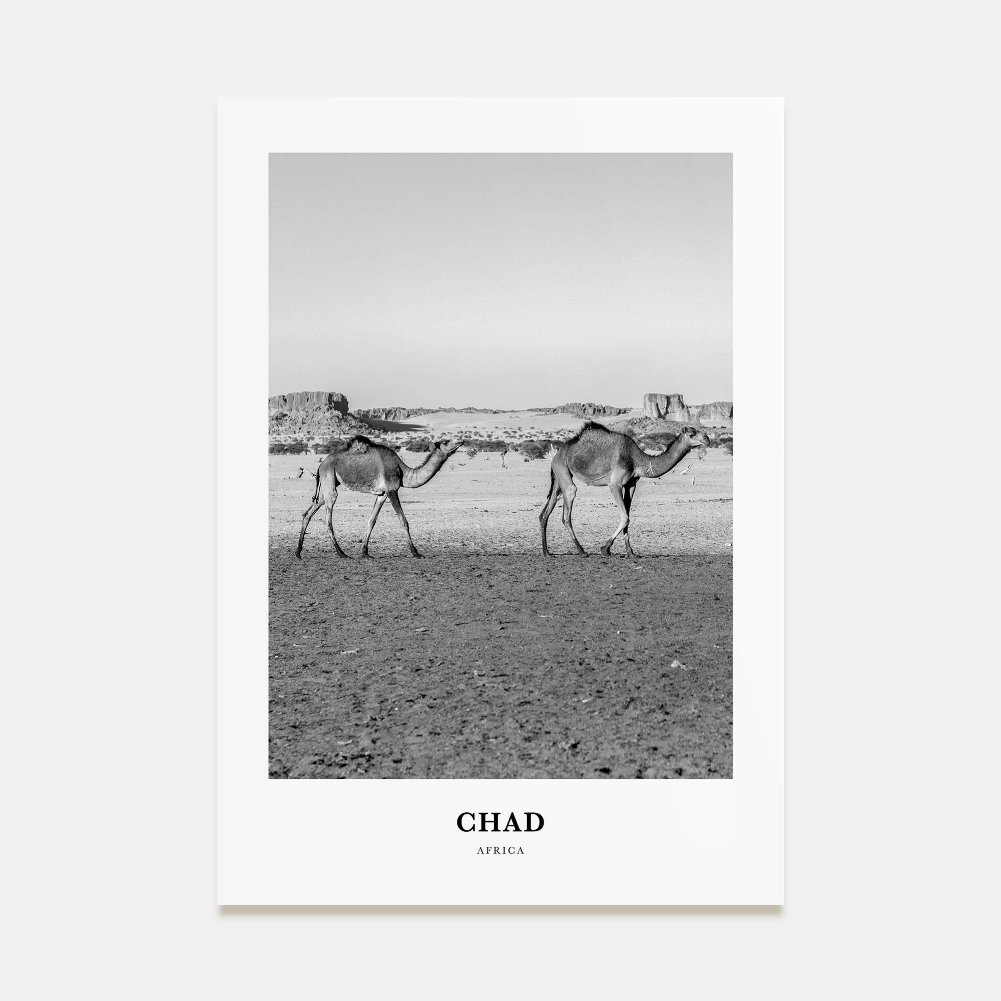Chad Portrait B&W Poster