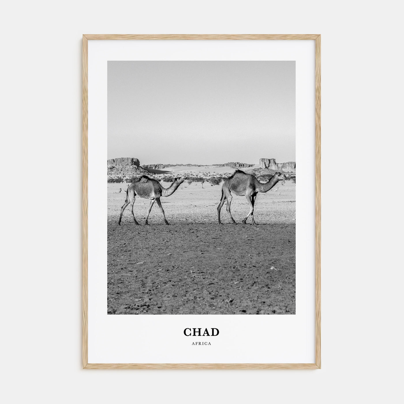 Chad Portrait B&W Poster