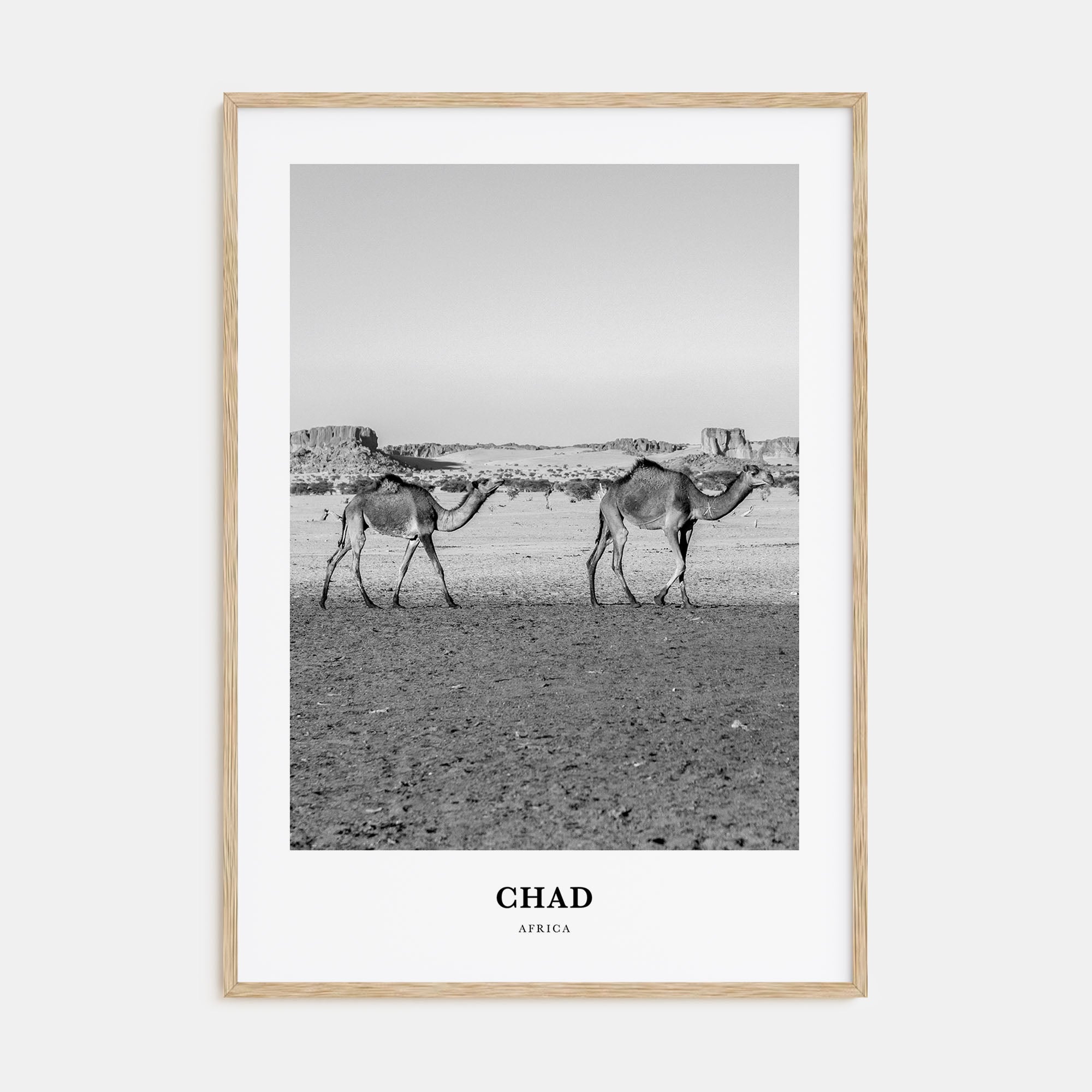 Chad Portrait B&W Poster