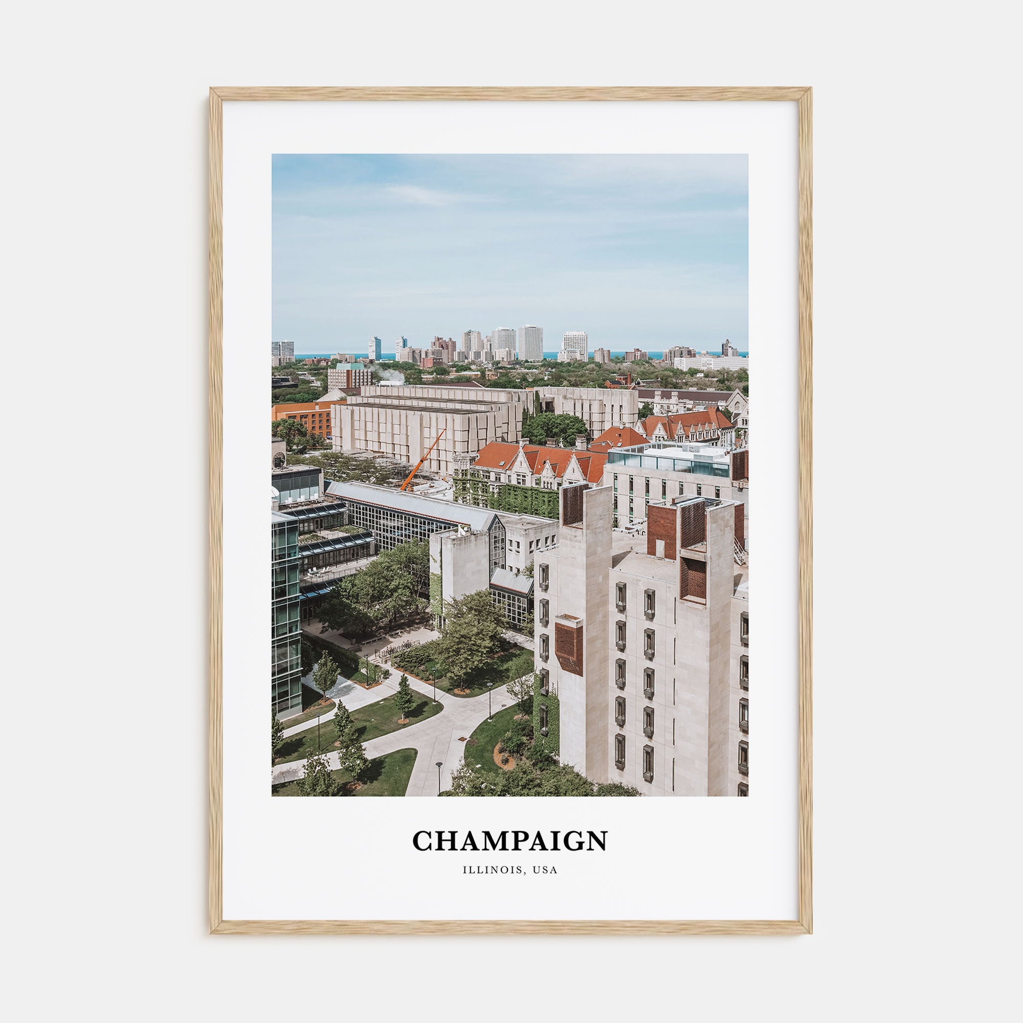 Champaign Portrait Color Poster
