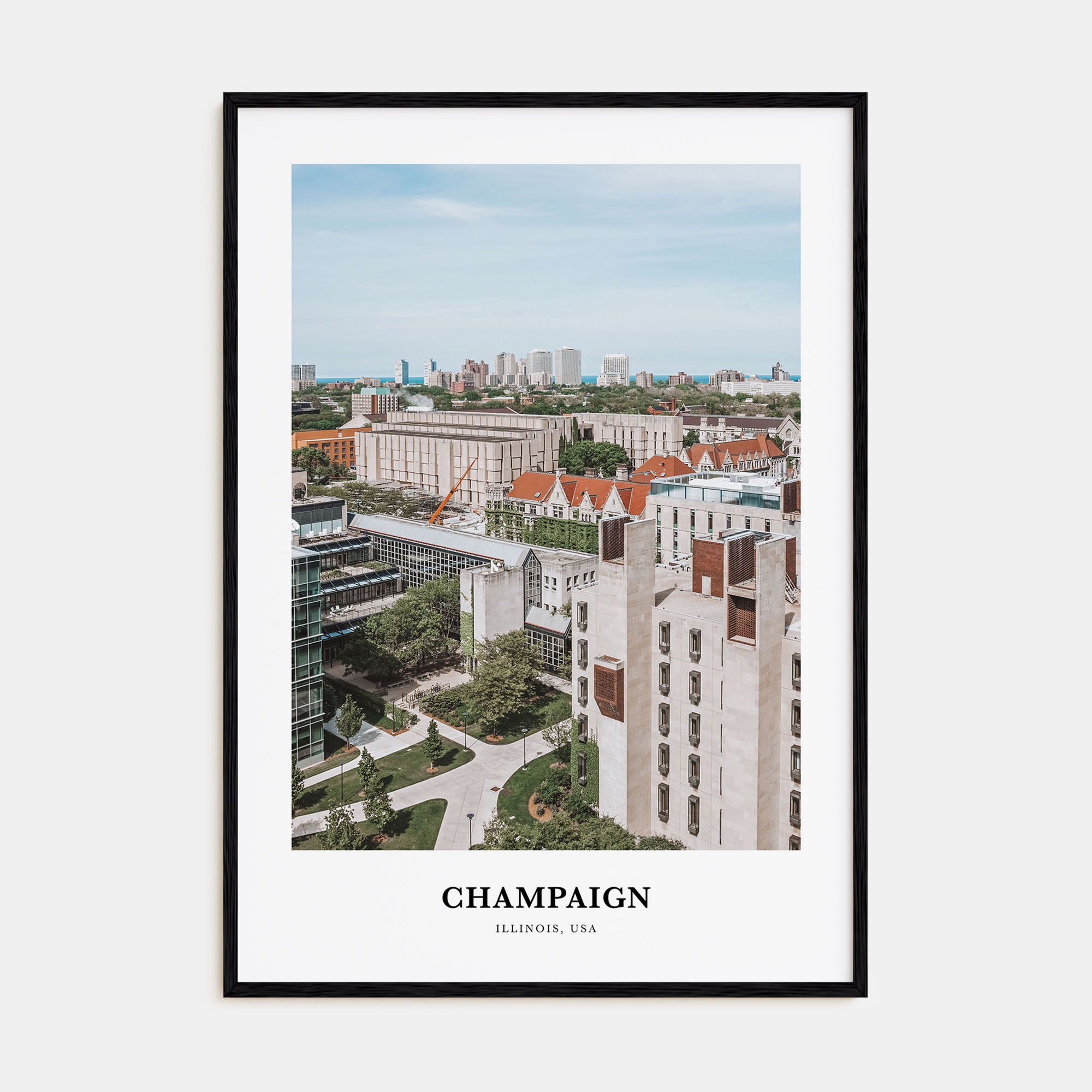 Champaign Portrait Color Poster