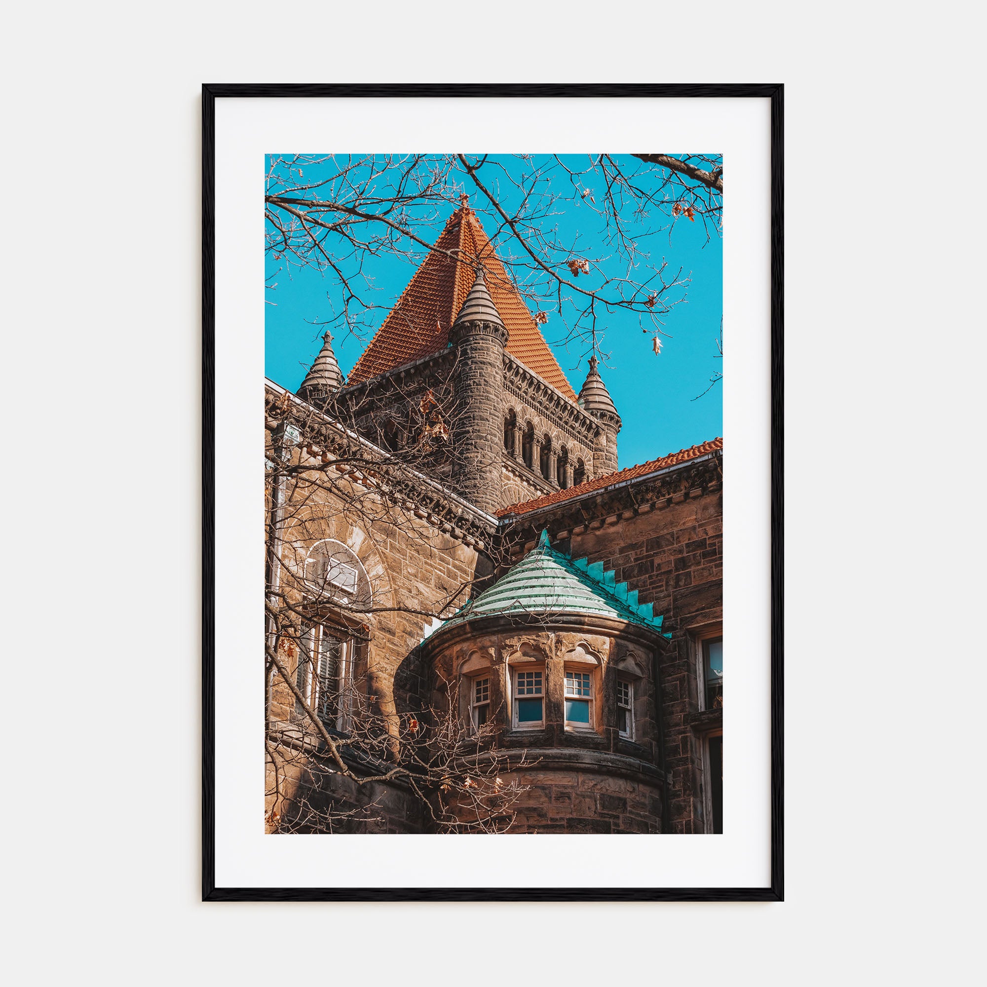 Champaign-Urbana Photo Color Poster