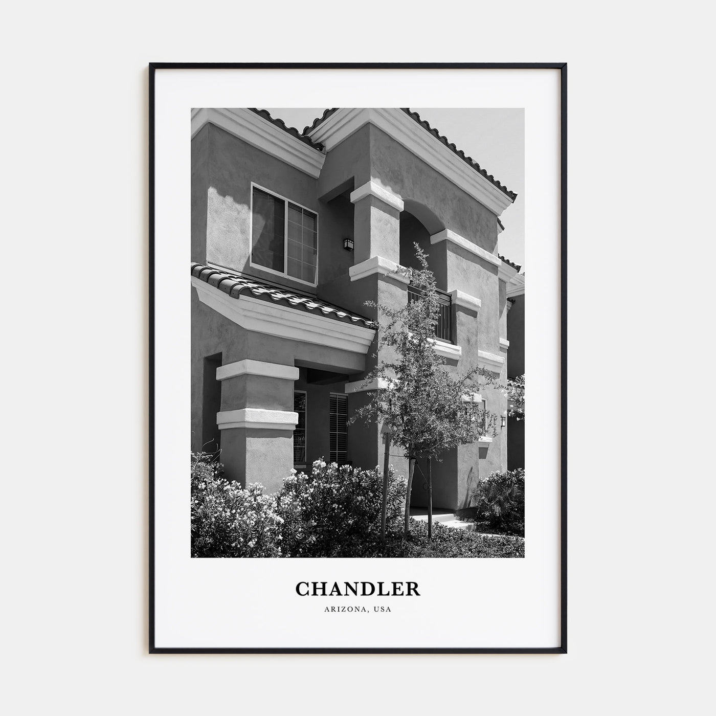 Chandler Portrait B&W Poster