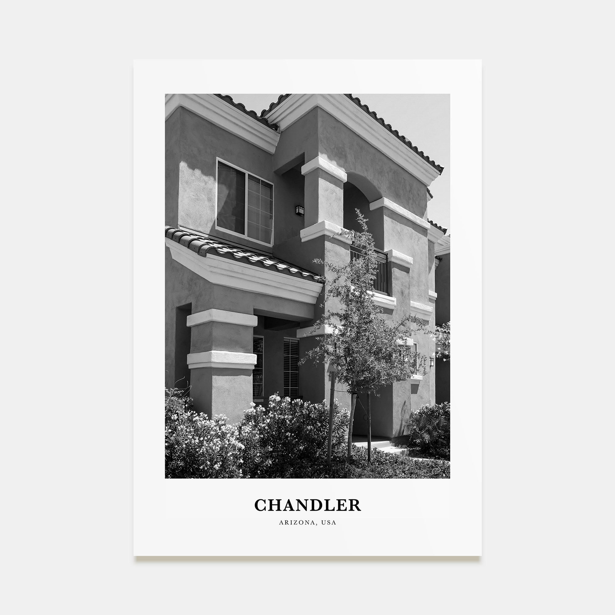 Chandler Portrait B&W Poster