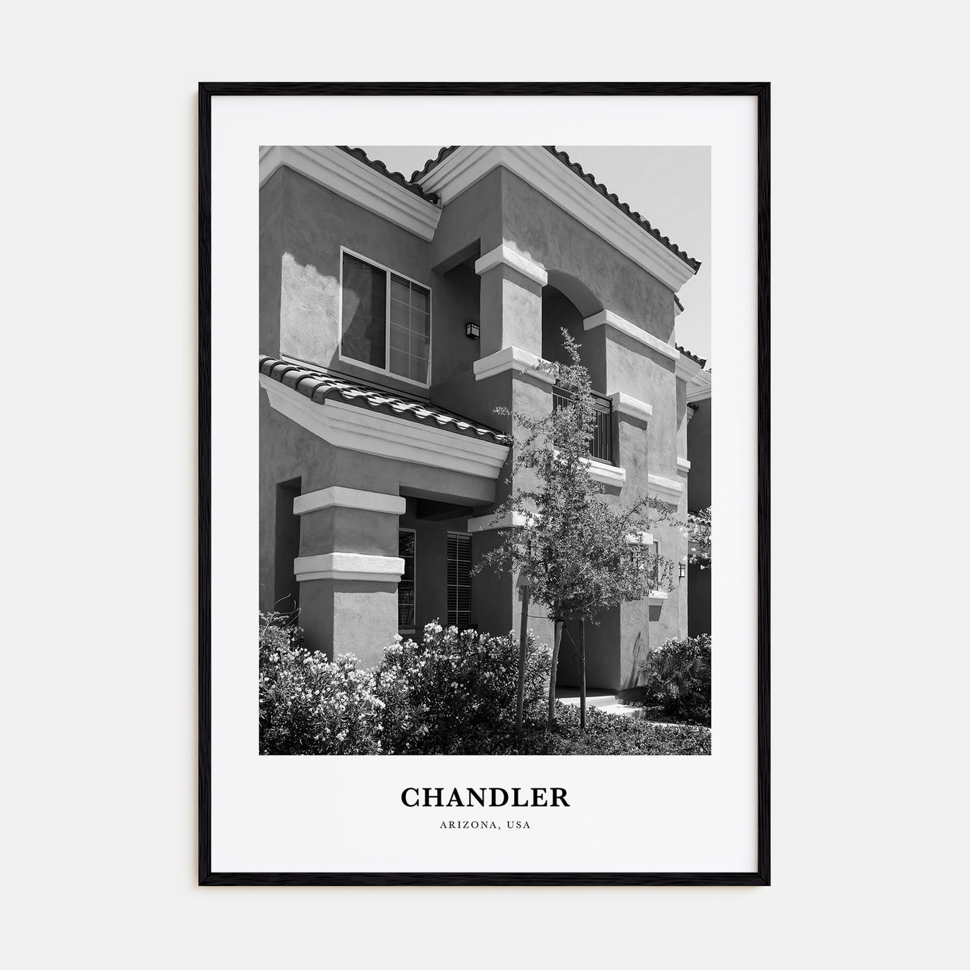 Chandler Portrait B&W Poster