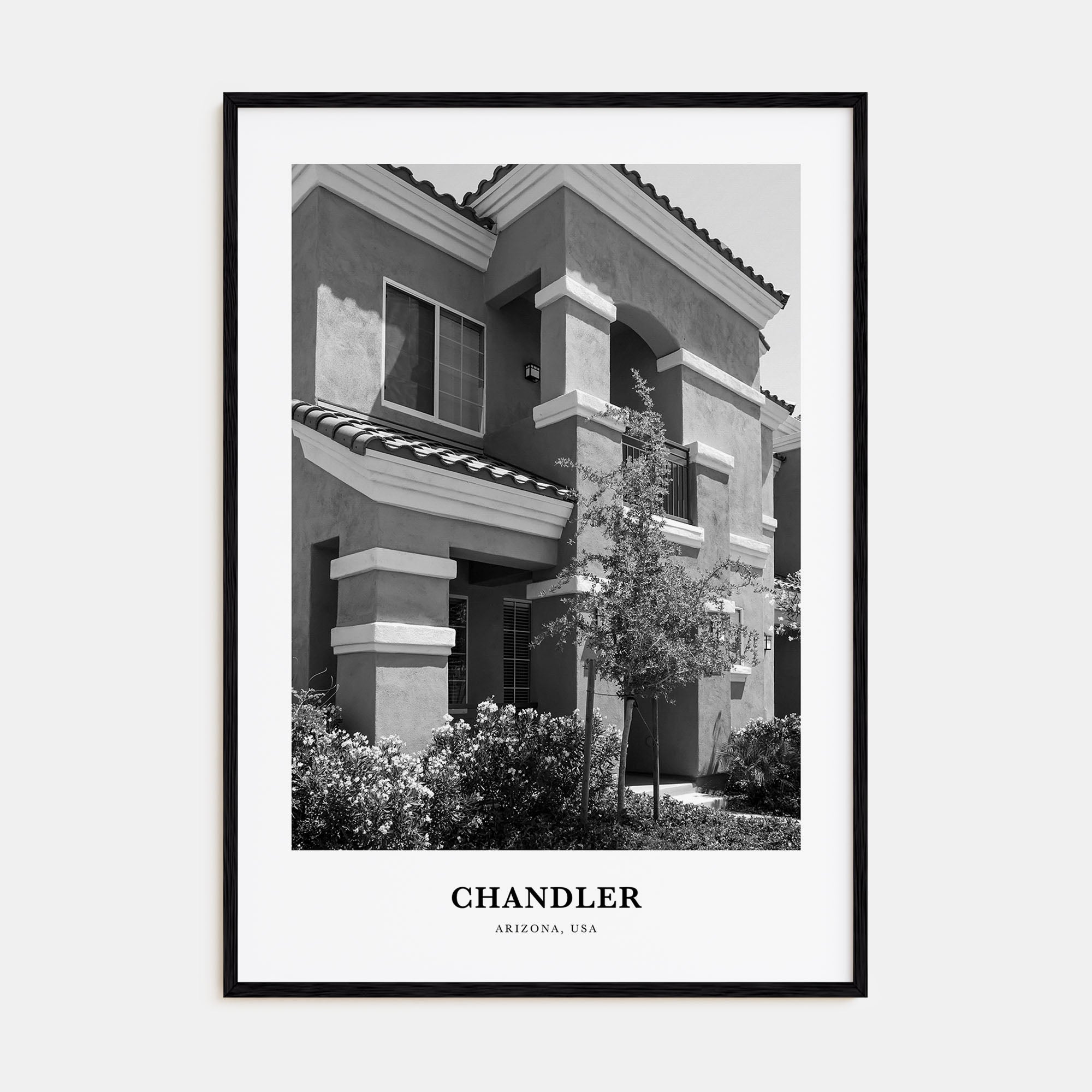 Chandler Portrait B&W Poster