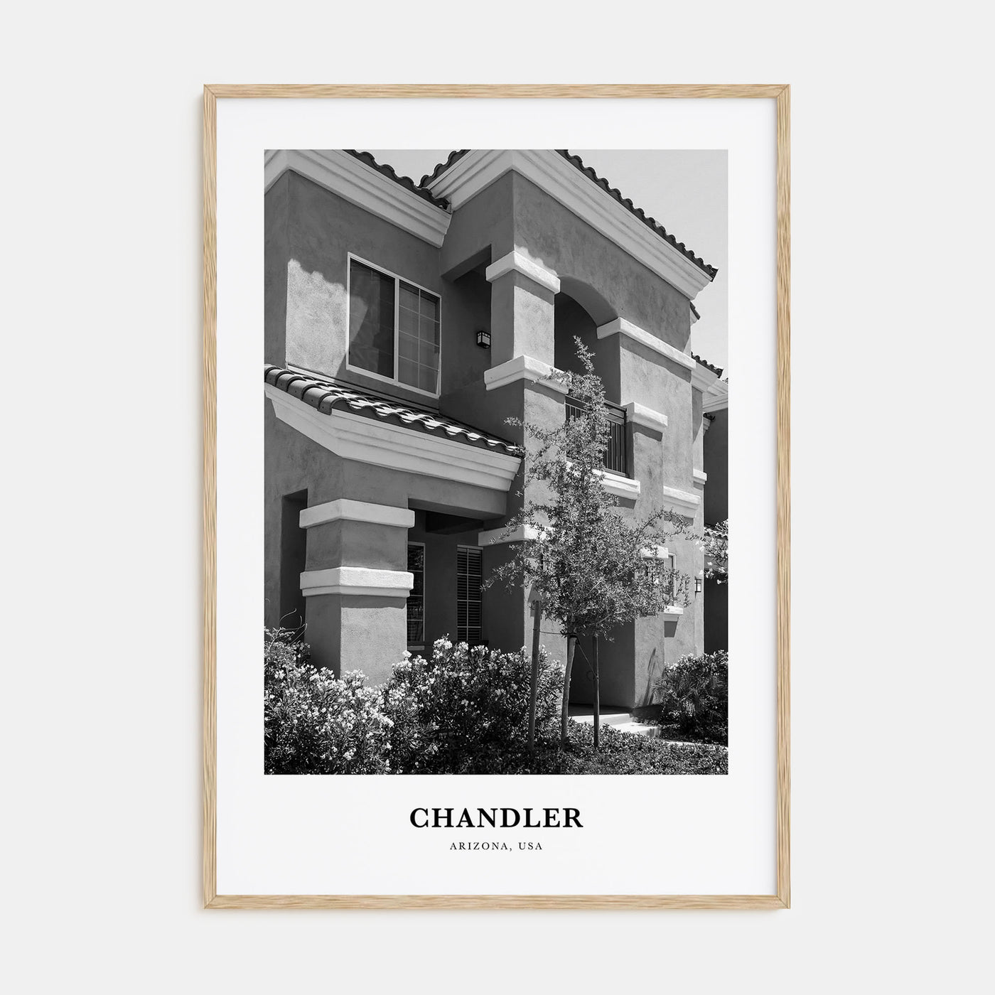 Chandler Portrait B&W Poster