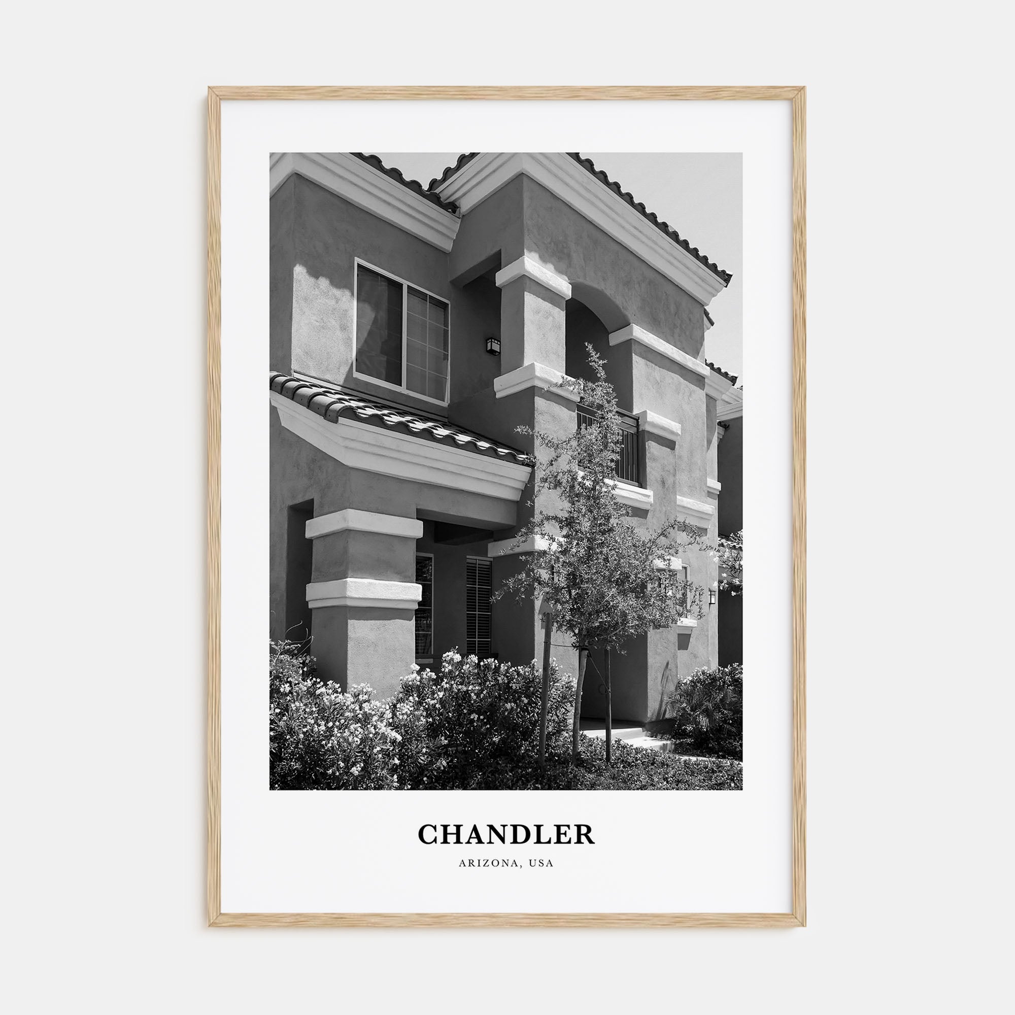 Chandler Portrait B&W Poster