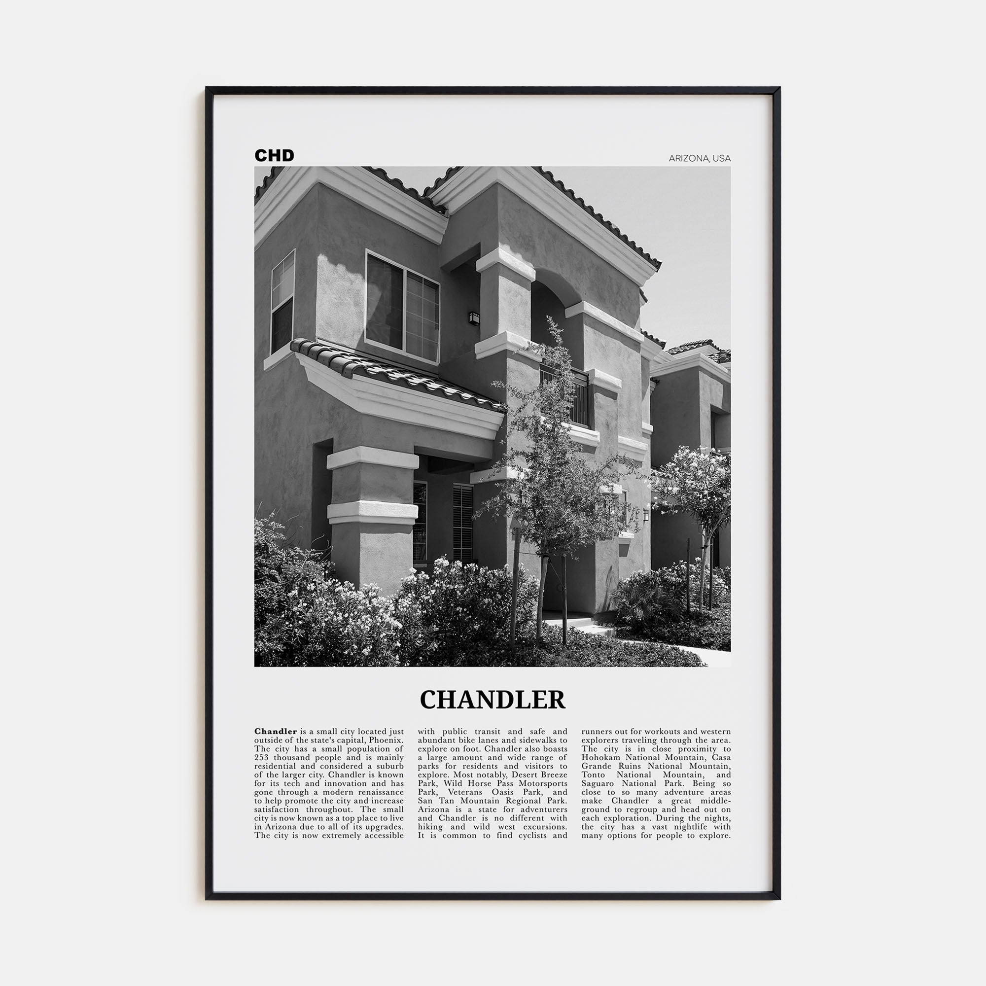 Chandler Travel B&W Poster