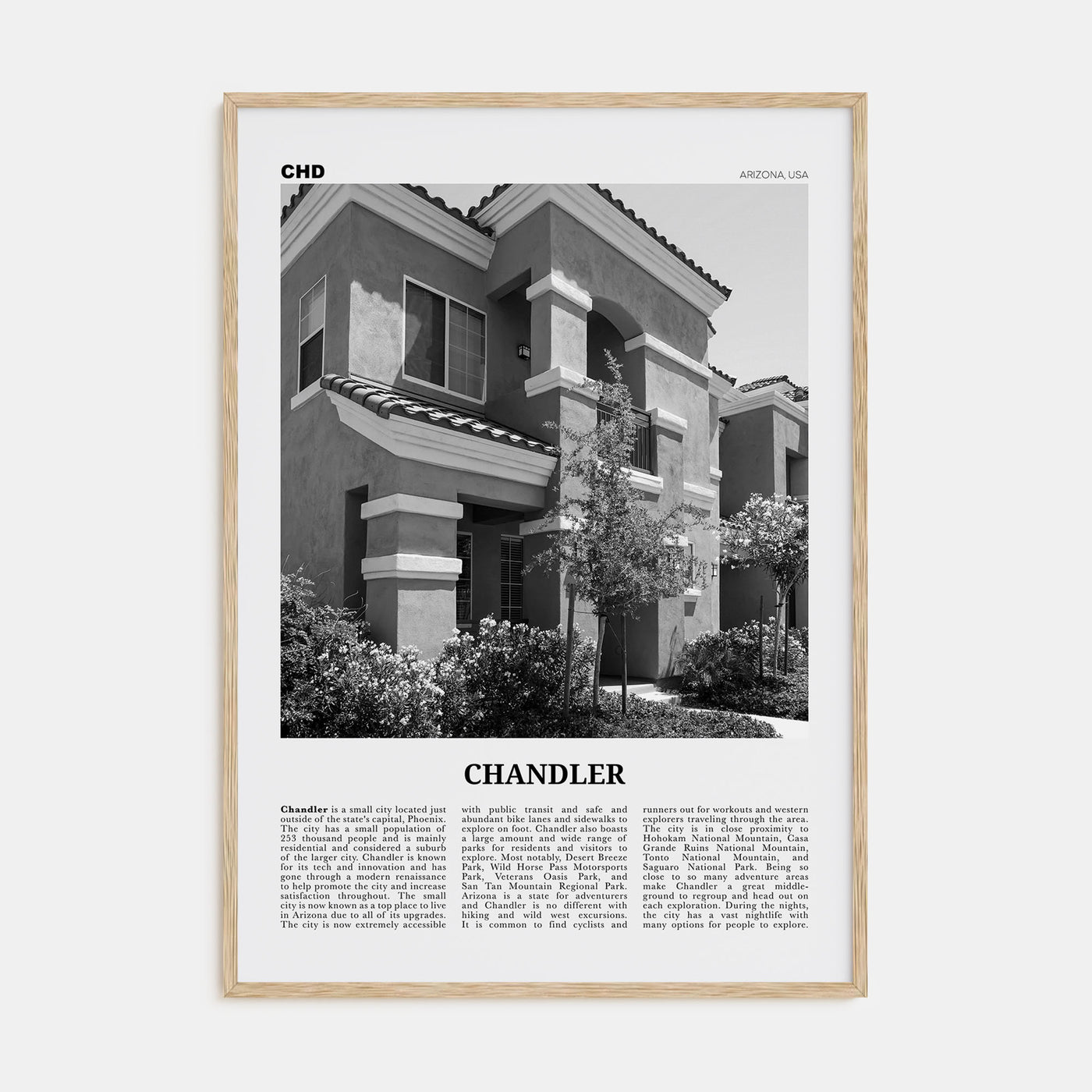 Chandler Travel B&W Poster