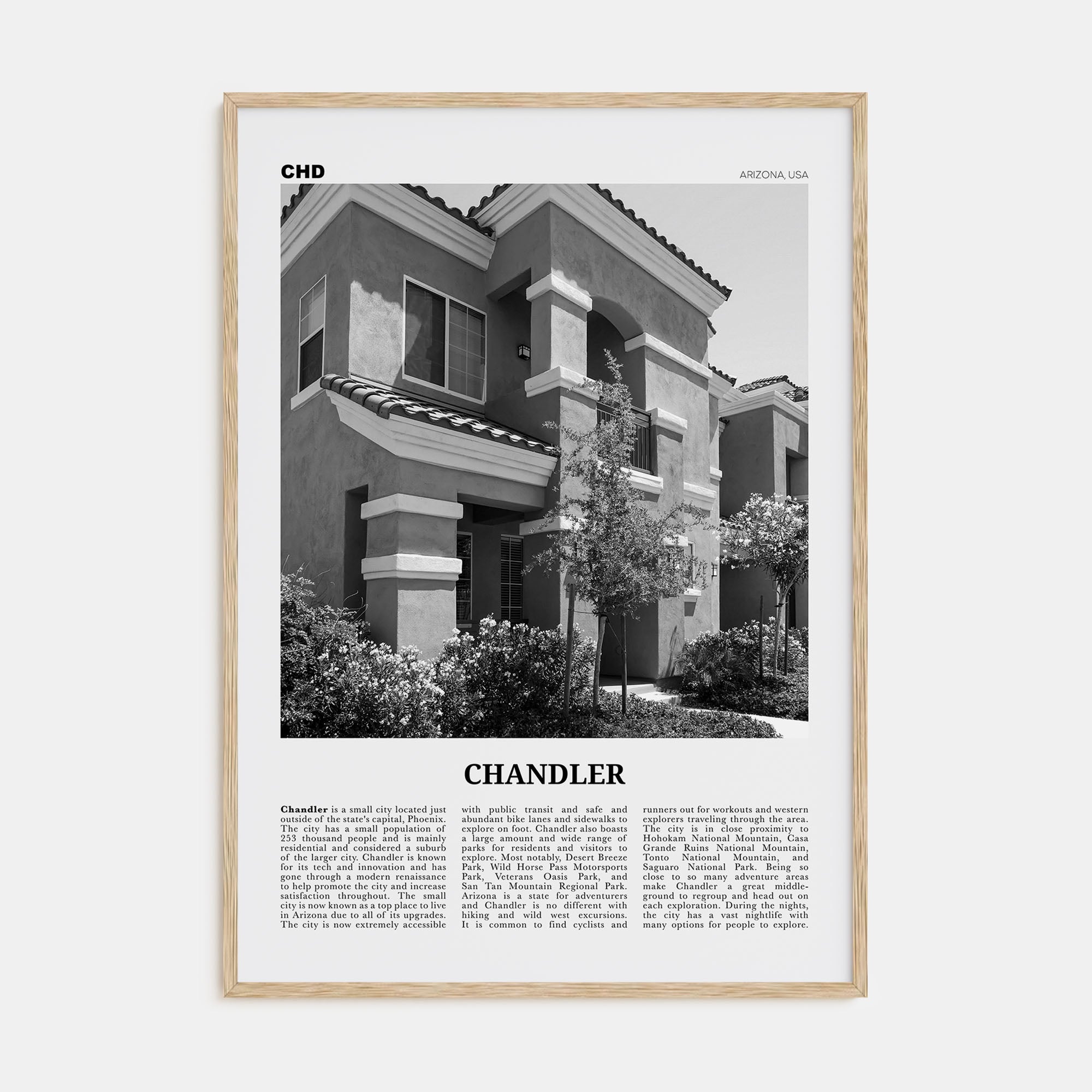 Chandler Travel B&W Poster