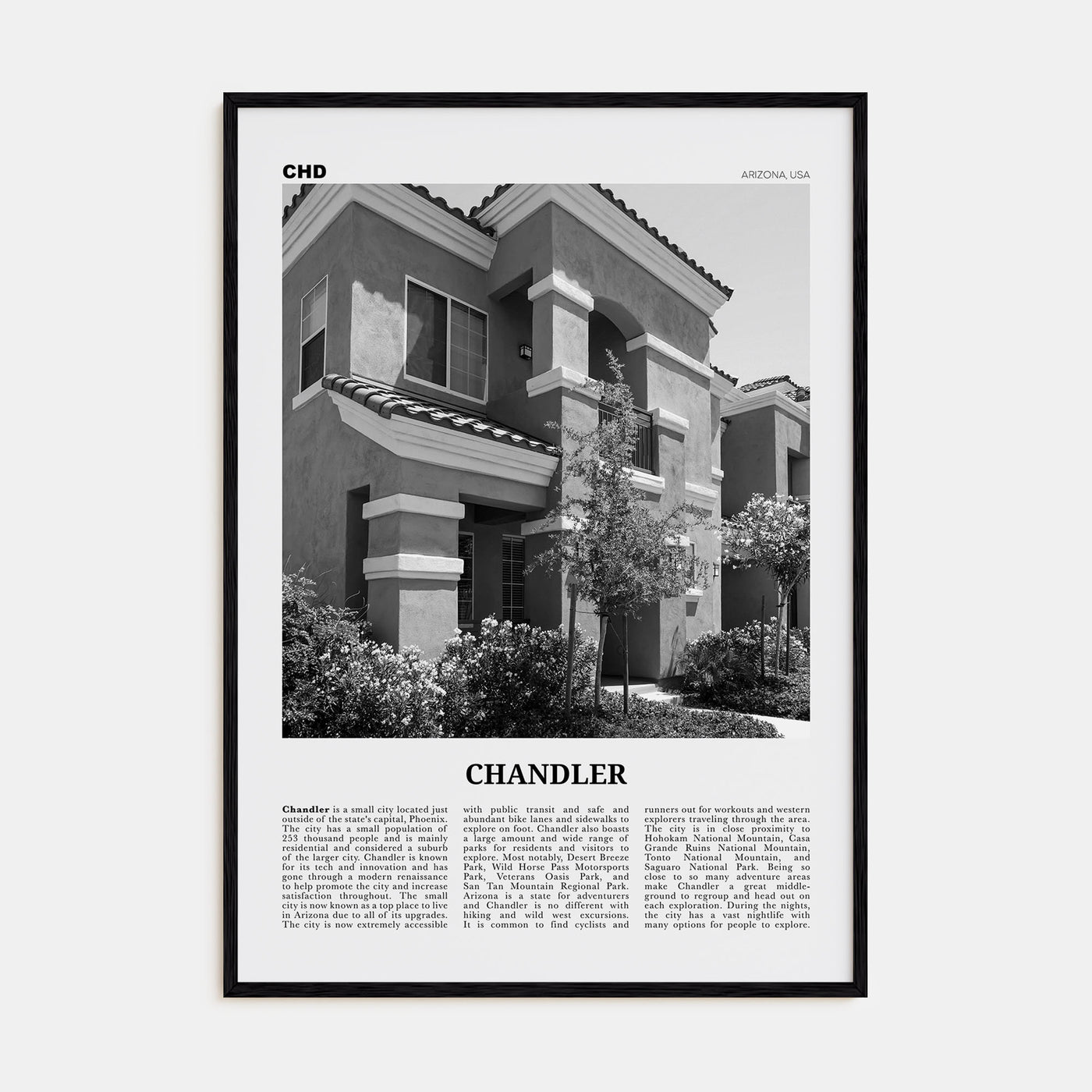 Chandler Travel B&W Poster