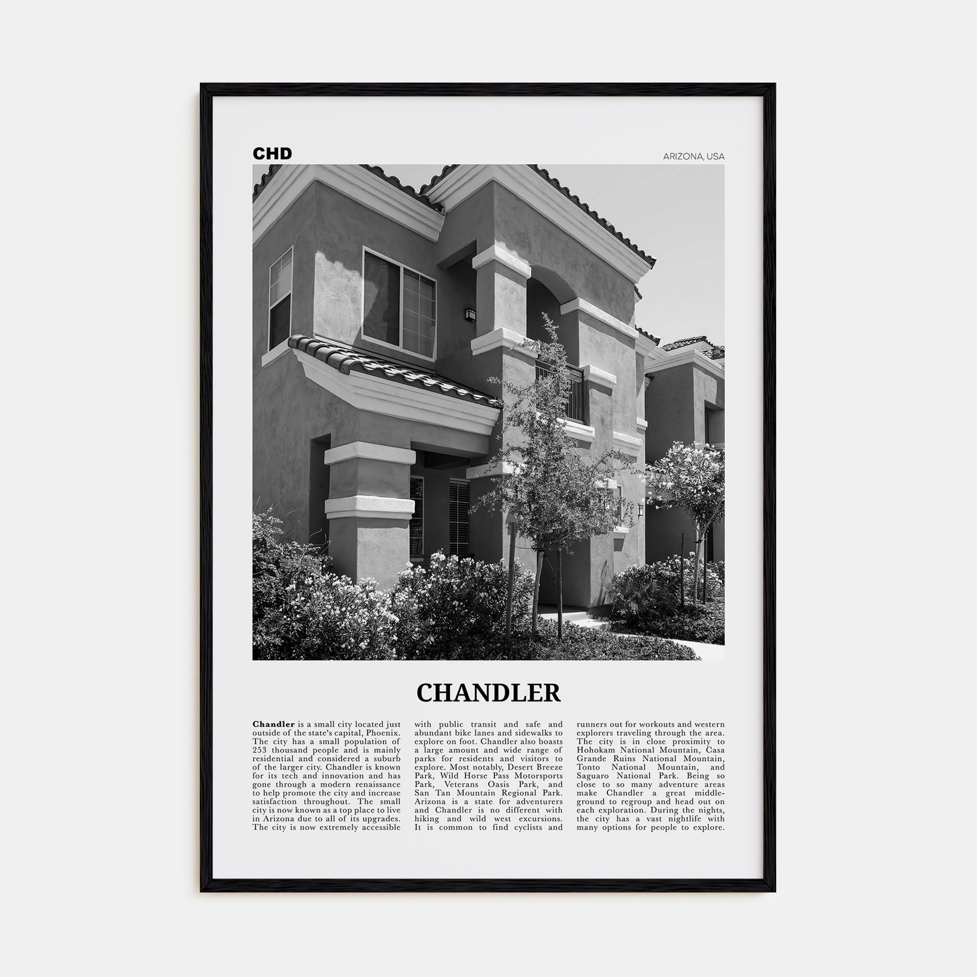 Chandler Travel B&W Poster