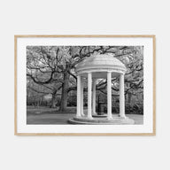 Chapel Hill Landscape B&W Poster
