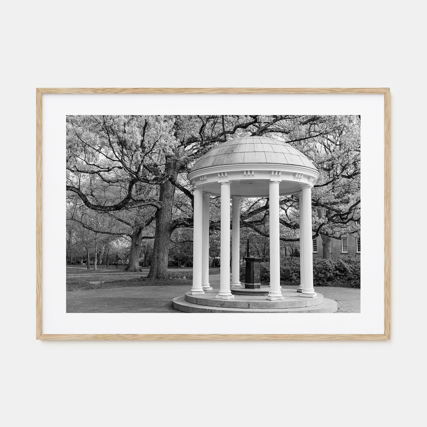 Chapel Hill Landscape B&W Poster