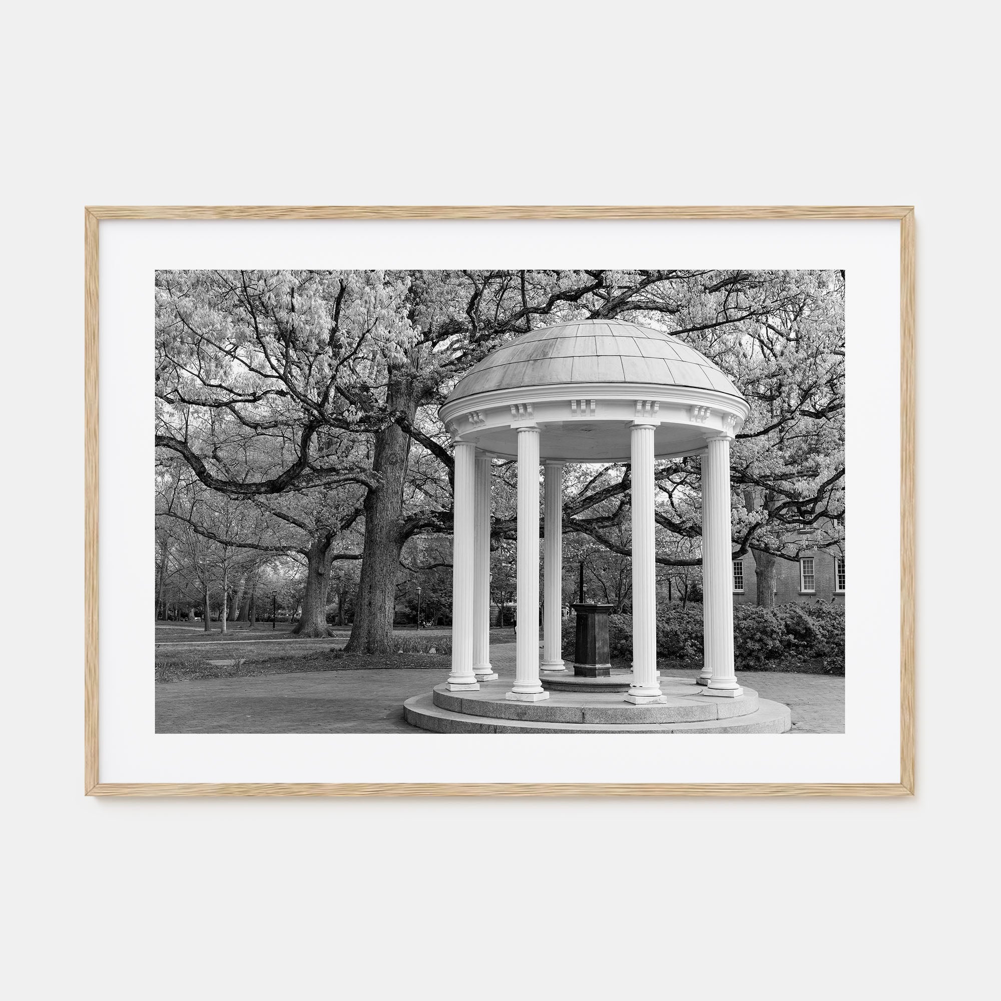 Chapel Hill Landscape B&W Poster