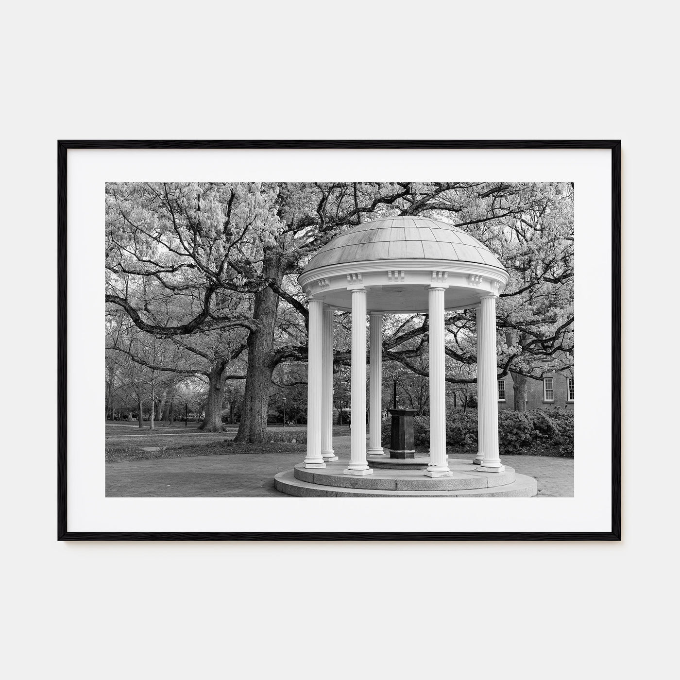 Chapel Hill Landscape B&W Poster