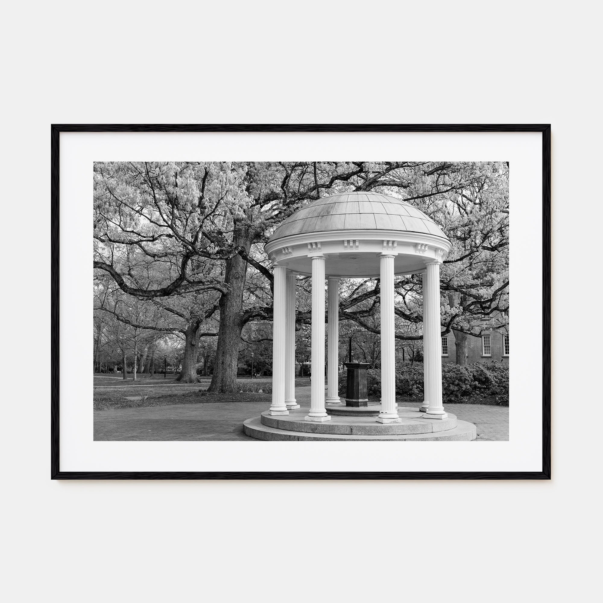Chapel Hill Landscape B&W Poster