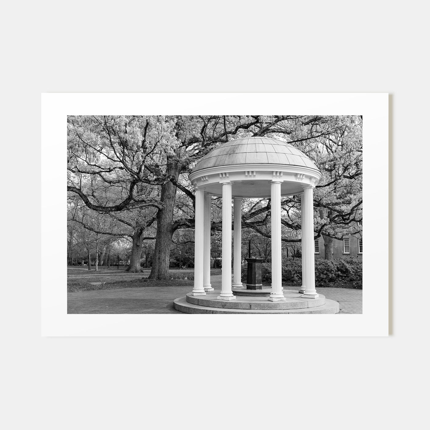 Chapel Hill Landscape B&W Poster