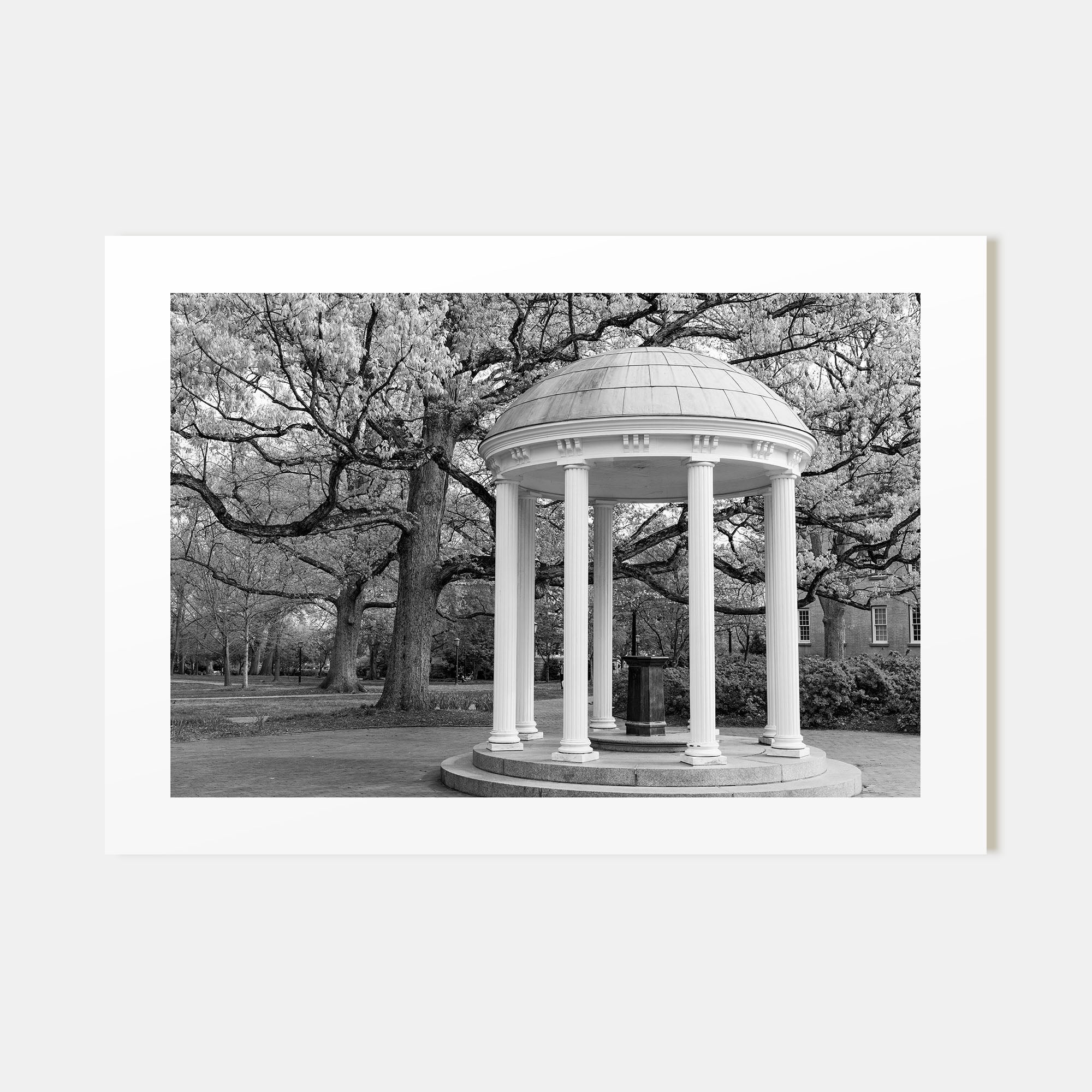 Chapel Hill Landscape B&W Poster
