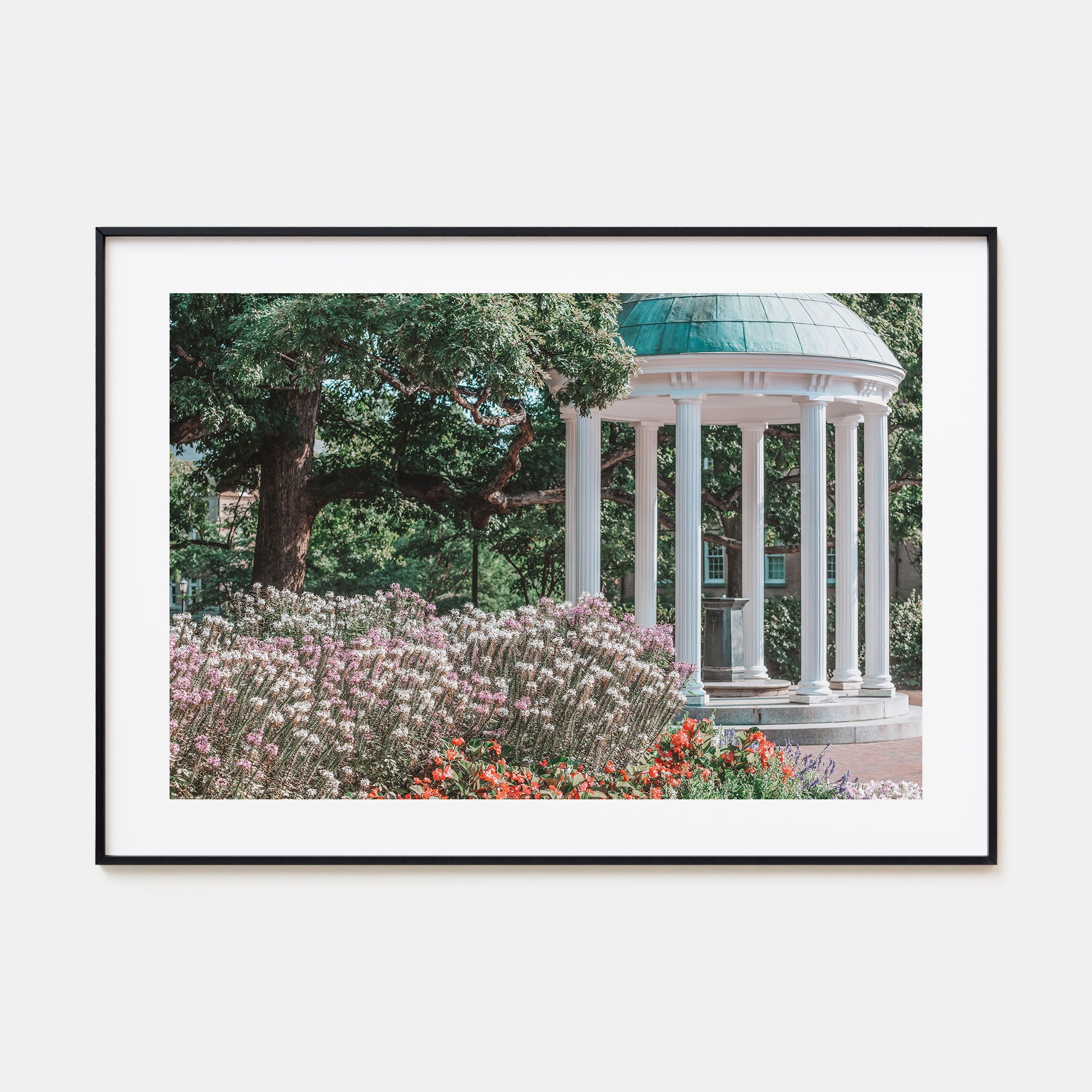 Chapel Hill Landscape Color Poster