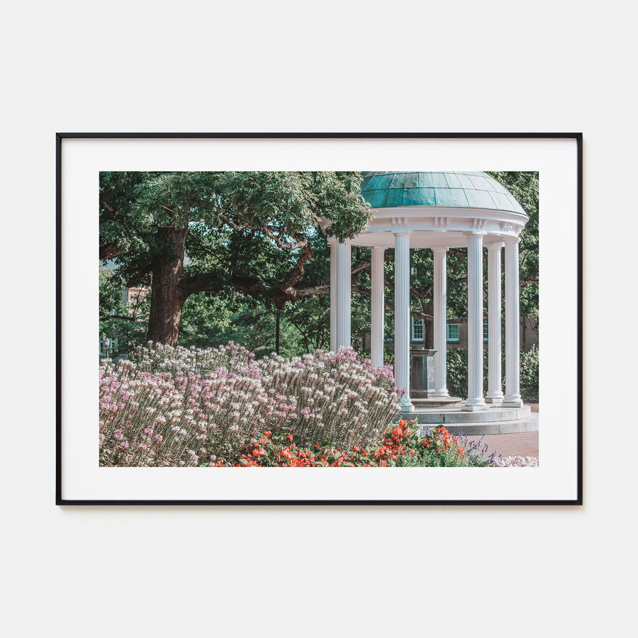 Chapel Hill Landscape Color Poster