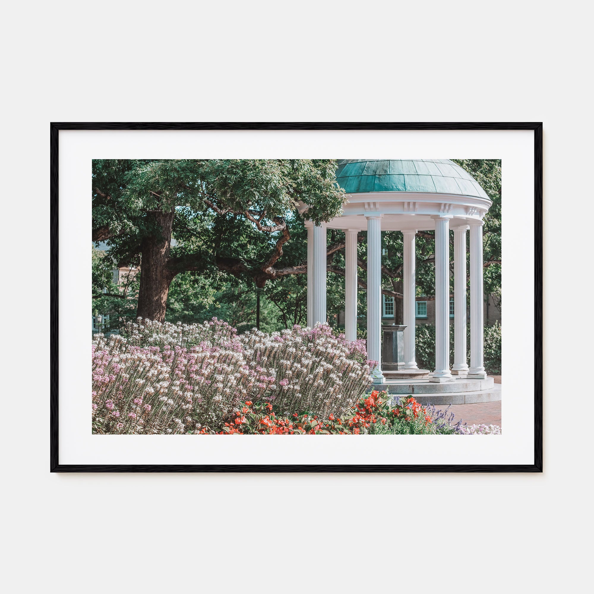Chapel Hill Landscape Color Poster