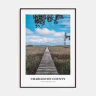 Charleston County Portrait Color Poster