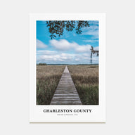 Charleston County Portrait Color Poster