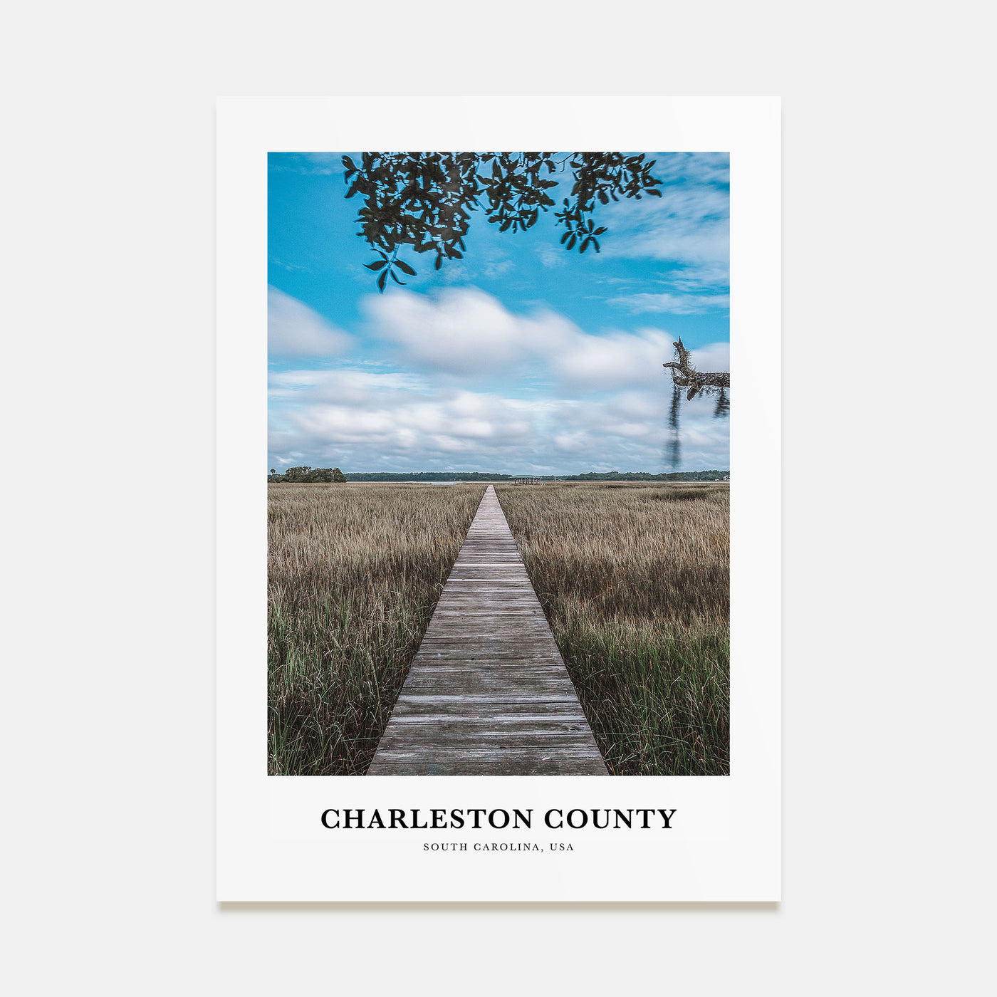Charleston County Portrait Color Poster