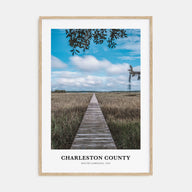 Charleston County Portrait Color Poster