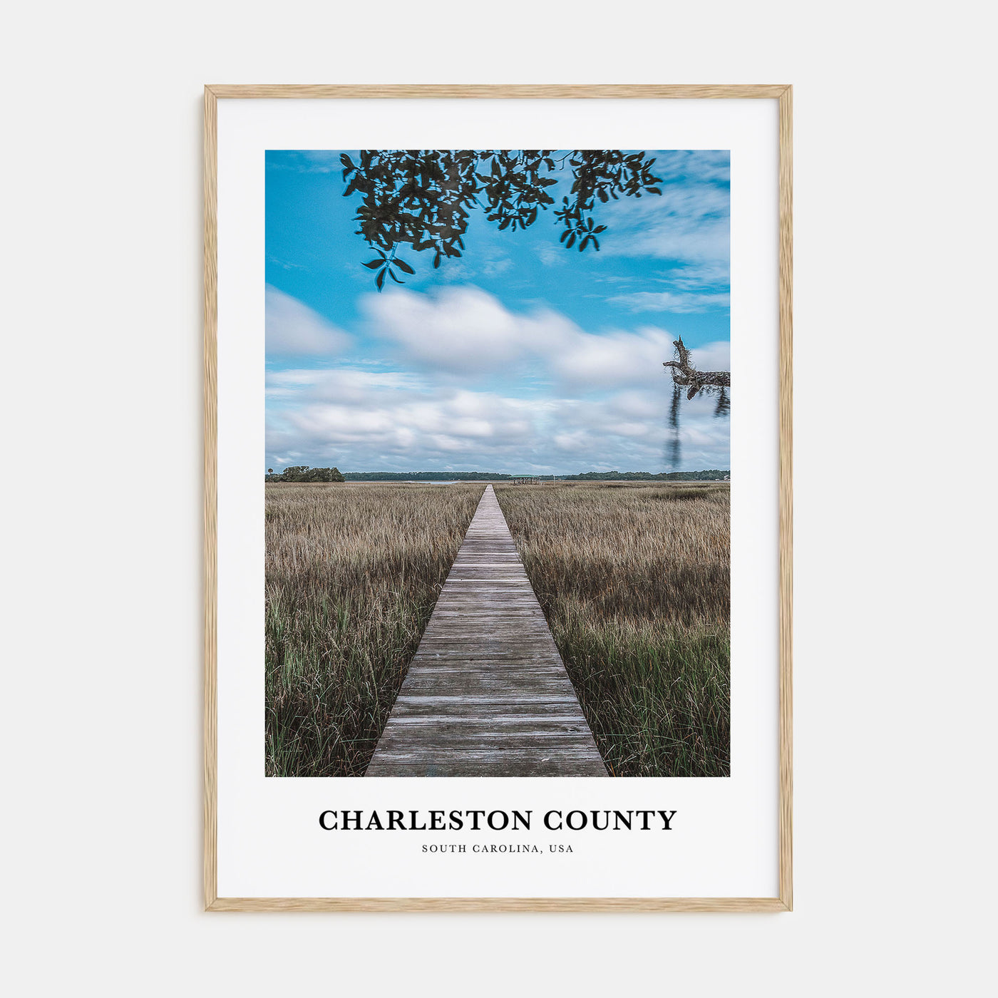 Charleston County Portrait Color Poster