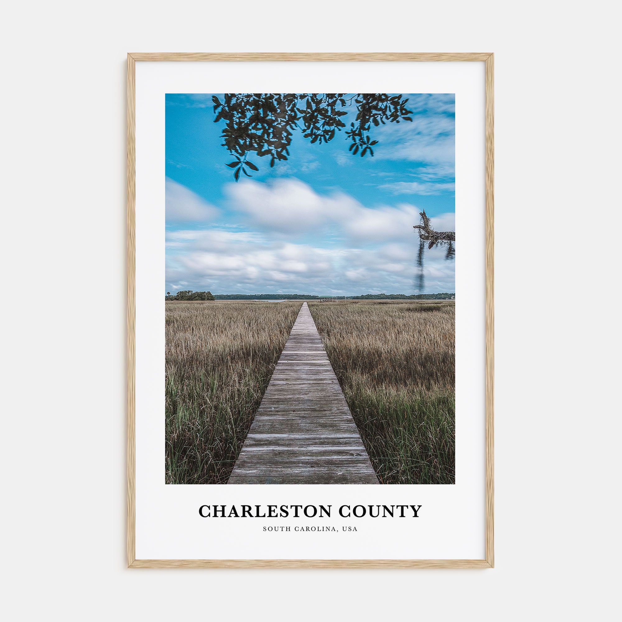 Charleston County Portrait Color Poster