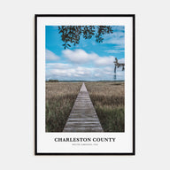 Charleston County Portrait Color Poster