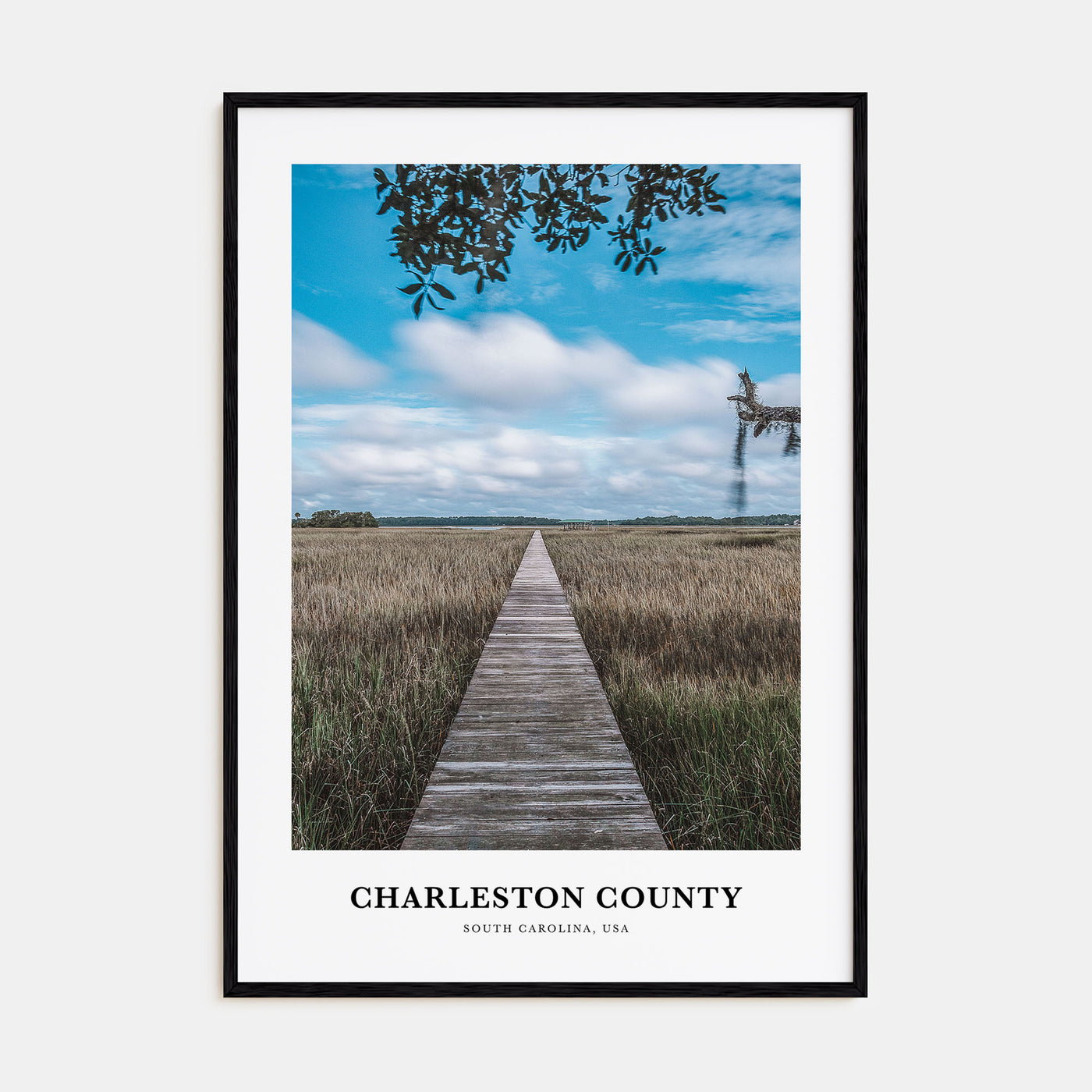Charleston County Portrait Color Poster
