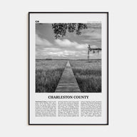 Charleston County Travel B&W Poster