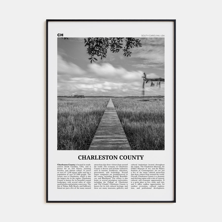 Charleston County Travel B&W Poster