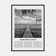 Charleston County Travel B&W Poster