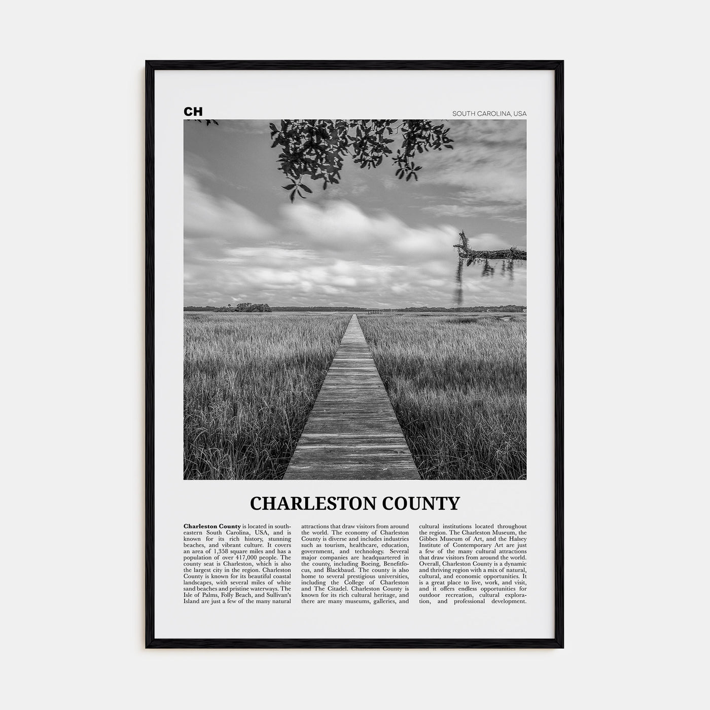 Charleston County Travel B&W Poster