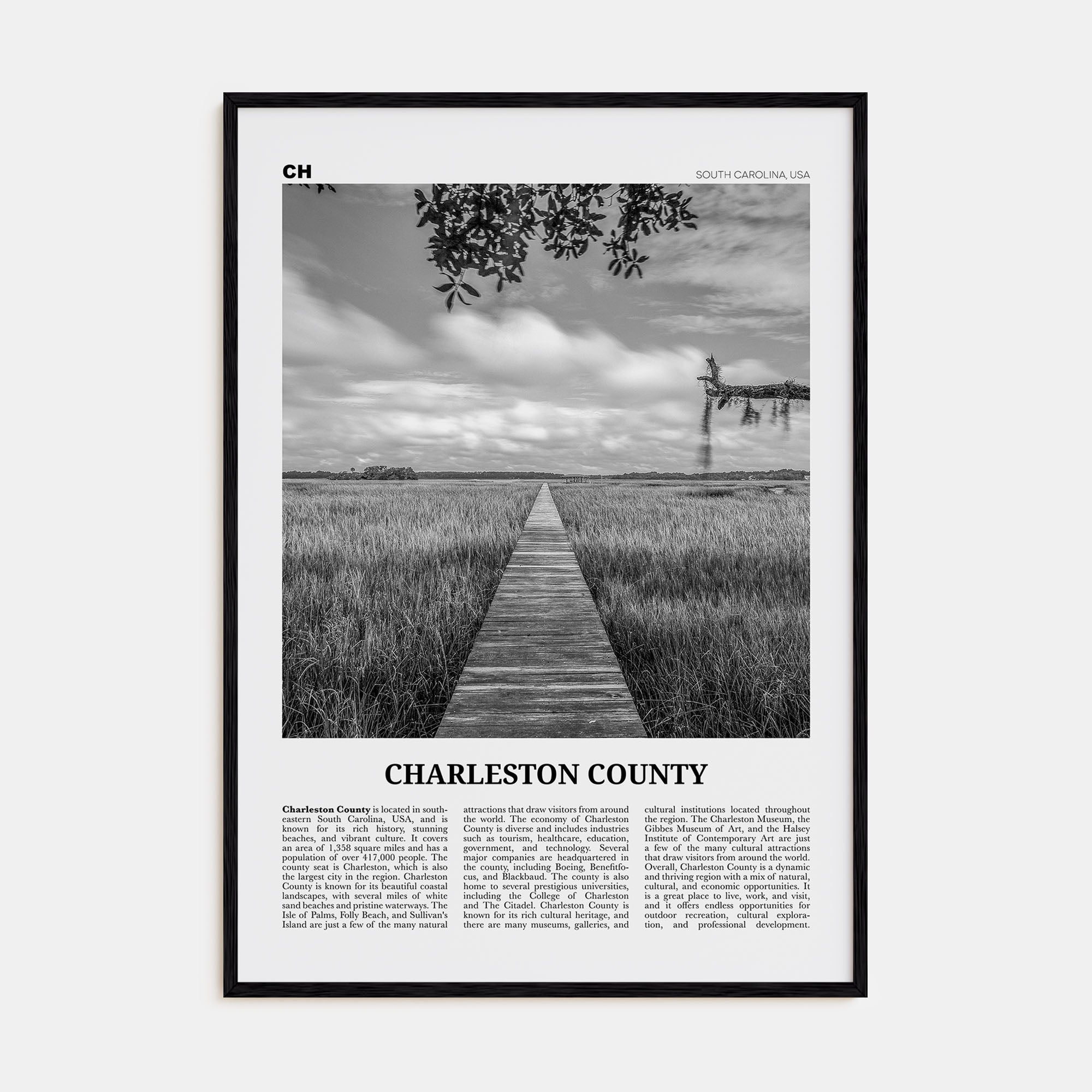 Charleston County Travel B&W Poster