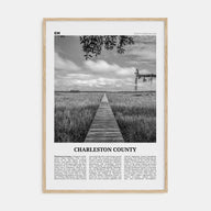 Charleston County Travel B&W Poster