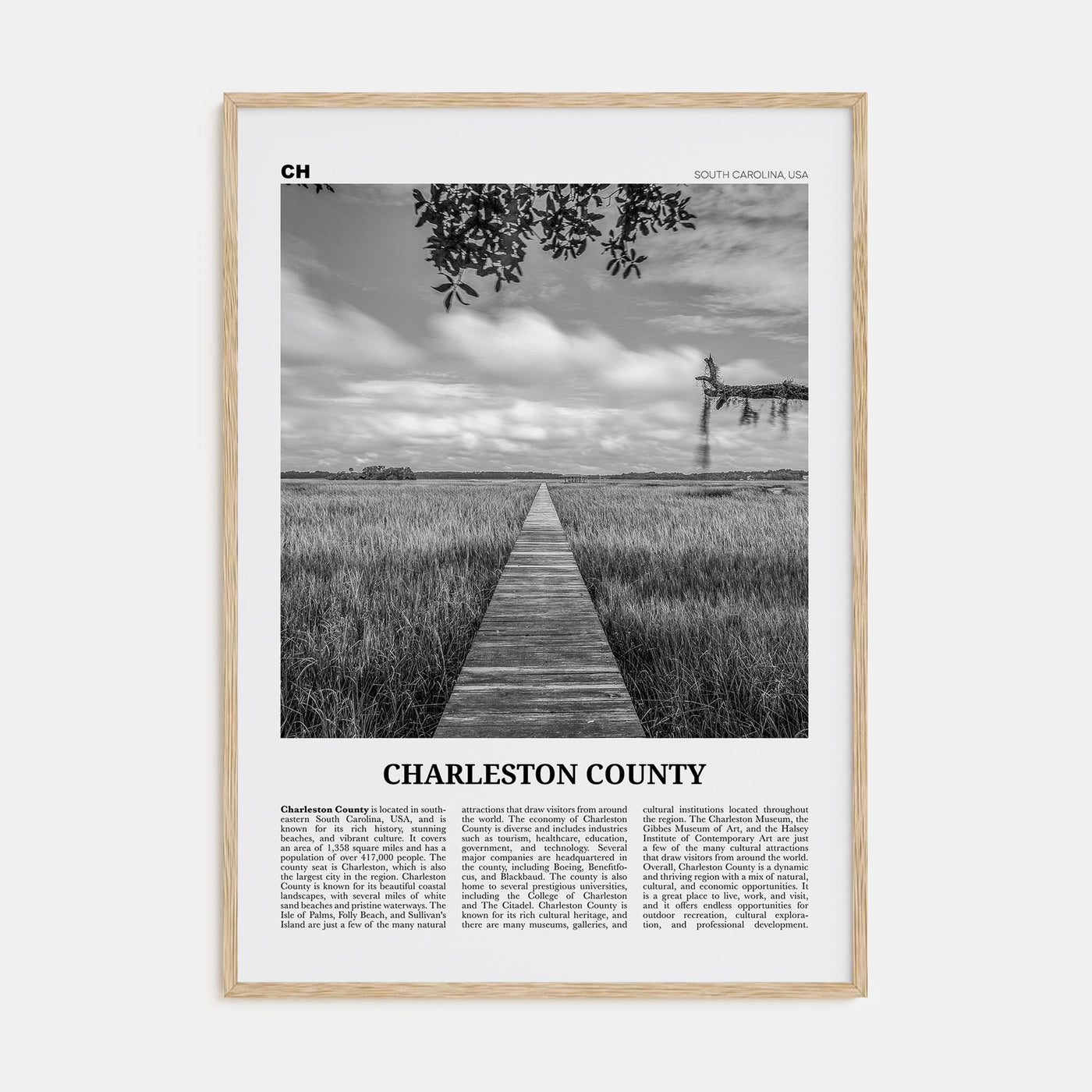 Charleston County Travel B&W Poster