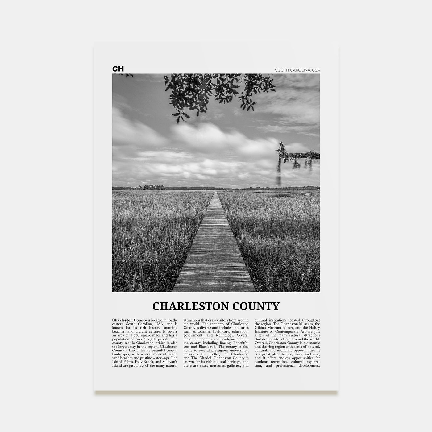 Charleston County Travel B&W Poster