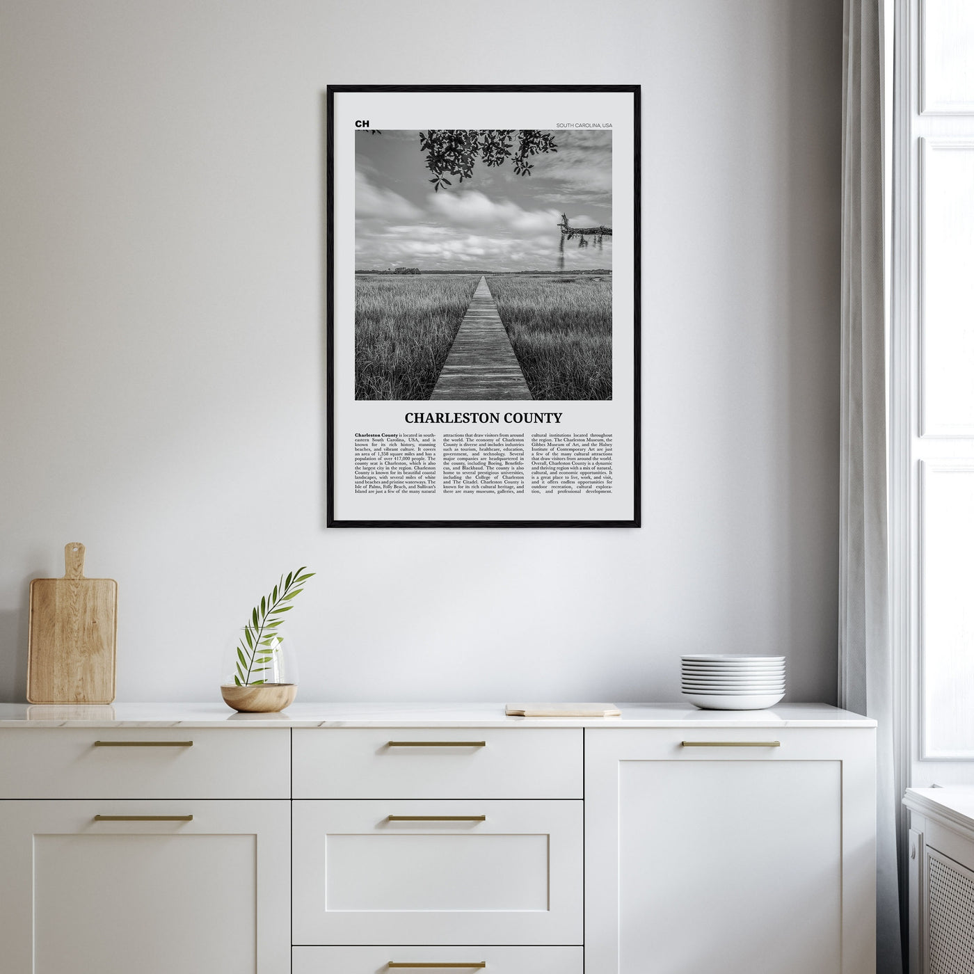 Charleston County Travel B&W Poster